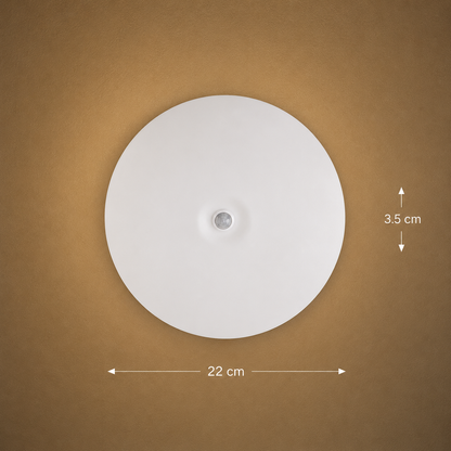 LED плафон PL200/17R 24W Cold Light 6000k Бял