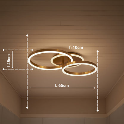 LED полилей с дистанционно управление RINOVA 66W, 2 кръга, студена/топла/неутрална светлина, димиране, лъскаво златно LED полилеи с дистанционно управление Заглавие по подразбиране Alessandro Design