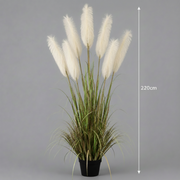 Planta Artificială Iarbă Ornamentală, 220cm, cu 7 fire, Stuf si Iarba, Verde si Alb, Fara Ghiveci