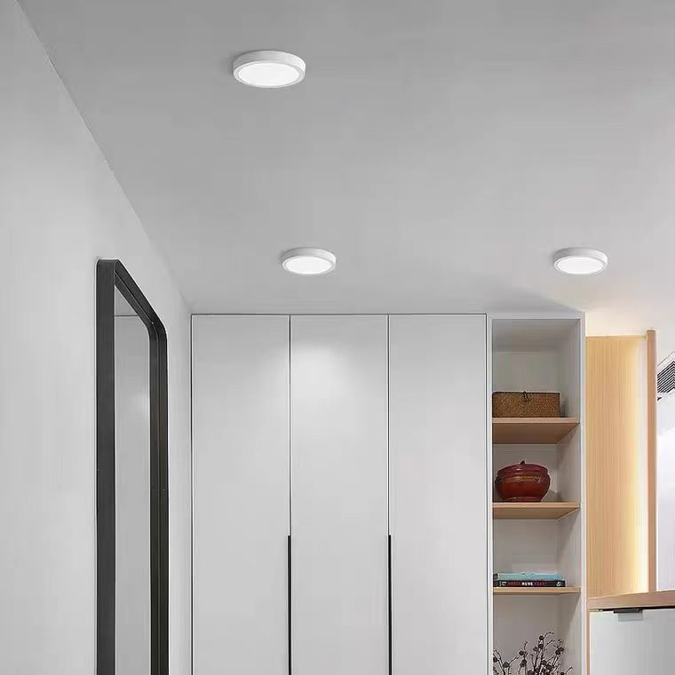 Кръгла LED таванна лампа, 31W, 22cm, 6000K, бял метал – студена светлина LED таванна лампа Заглавие по подразбиране Alessandro Design