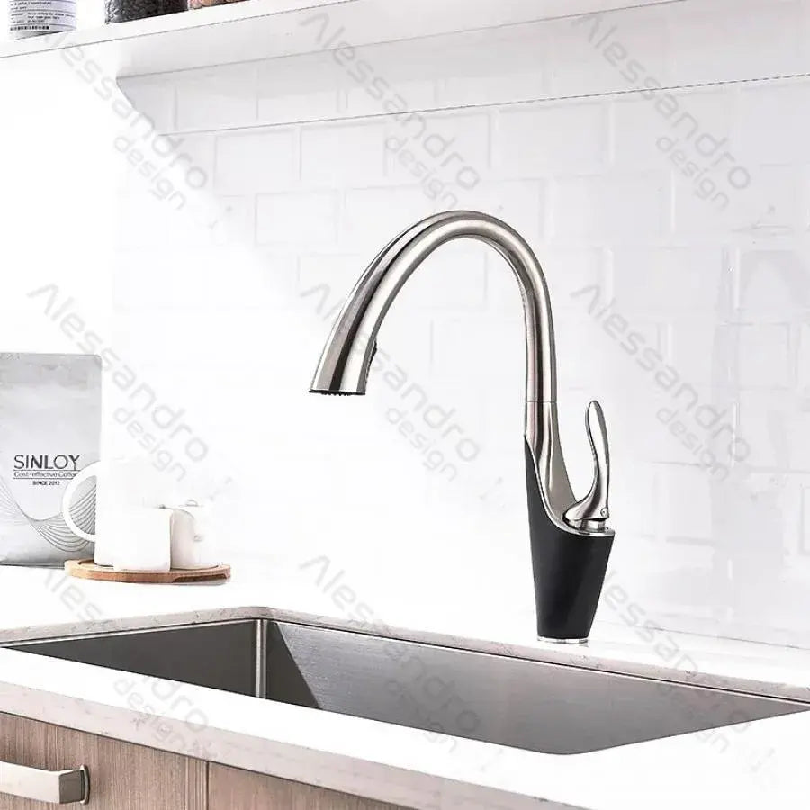 Кухненски кран с изтеглящ се душ, санитарен месинг, хром, W058 Кухненски кранове Заглавие по подразбиране Alessandro Design