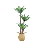 Изкуствено растение Dracaena fragrans, без саксия, 180 см зелени изкуствени стайни растения Заглавие по подразбиране Alessandro Design